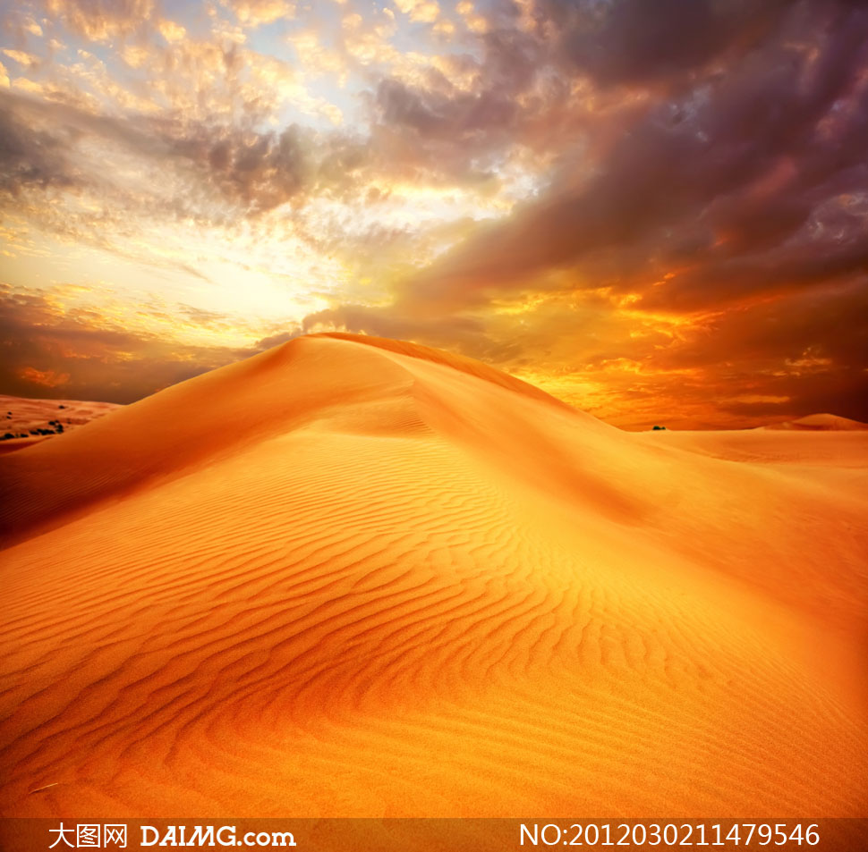 金色沙漠自然风光高清摄影图片 - 大图网设计素