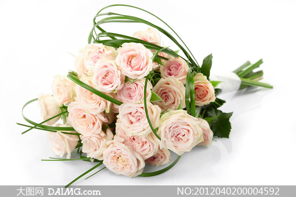 情人节粉色玫瑰花束摄影图片 - 大图网设计素材下载