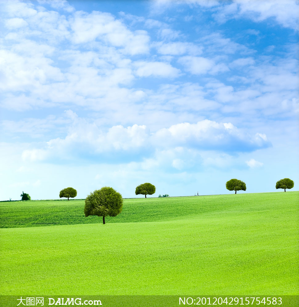 蓝天白云绿地大树自然风光高清图片